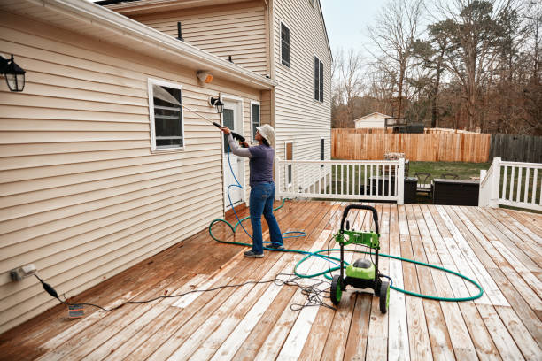 Best Pressure Washing Near Me  in Taylorvle, IL