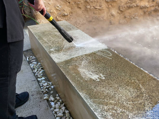 Best Sidewalk Pressure Washing  in Taylorvle, IL