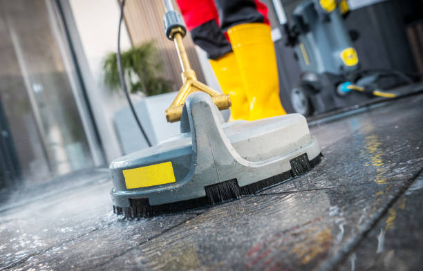 Best House Pressure Washing  in Taylorvle, IL