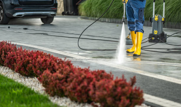 Best Garage Pressure Washing  in Taylorvle, IL