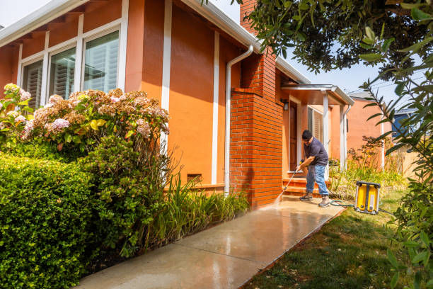 Best Local Pressure Washing Services  in Taylorvle, IL