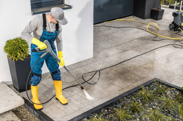 Best Local Pressure Washing Services  in Taylorvle, IL