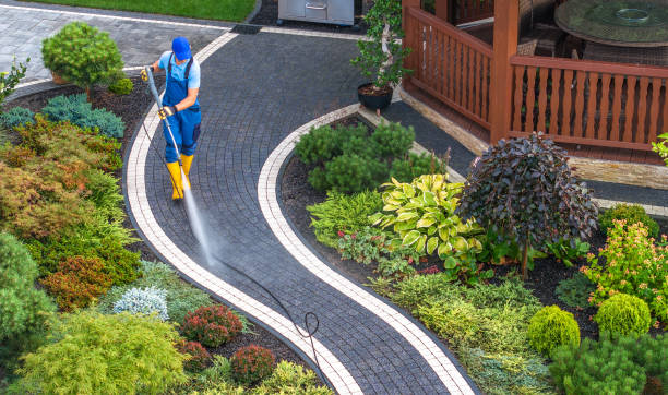 Best Residential Pressure Washing Services  in Taylorvle, IL
