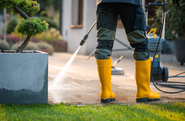 Best Roof Power Washing Services  in Taylorvle, IL