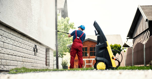 Best House Pressure Washing  in Taylorvle, IL